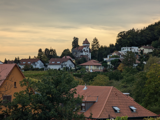 Rhodt, rund um Edenkoben,
13. Oktober 2024